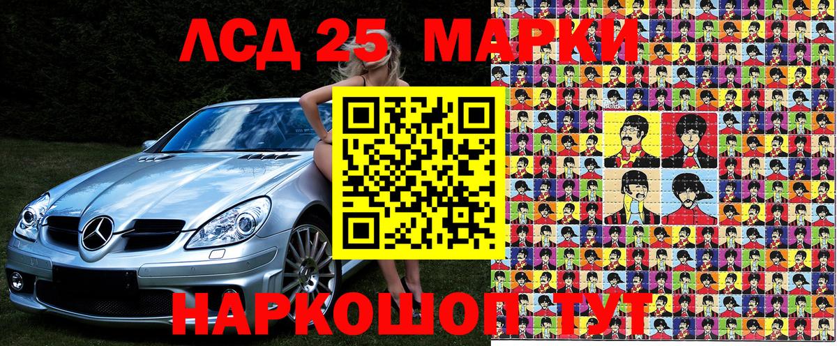 Псилоцибиновые грибы Нижний Тагил