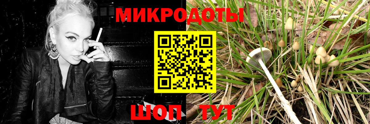 Галлюциногенные грибы Cubensis  Псилоцибиновые грибы мицелий  Нижний Тагил  Вход с VPN 